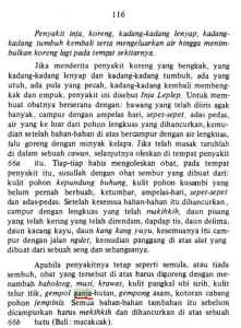 pengobatan tradisional bali